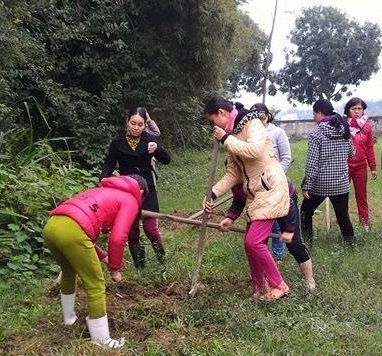 Trường Tiểu học Trường Sơn tổ chức “Tết trồng cây”